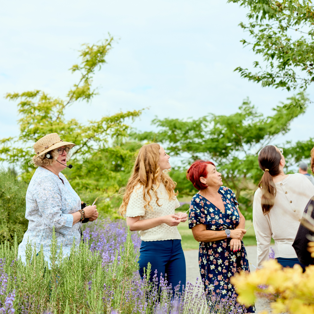 Indian Summer im Duftgarten – entdecke den botanischen Herbstzauber bei TAOASIS